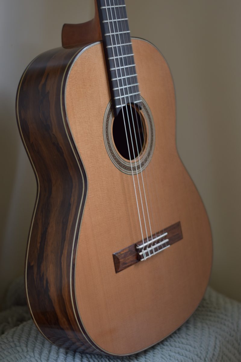 Guitar 7